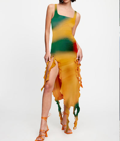 Chic Multicolor Dizzy Printing Midi Dress
