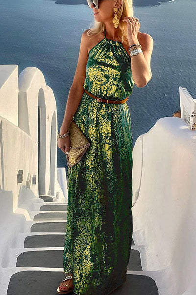 Diane Gold Leopard Print Halter Maxi Dress