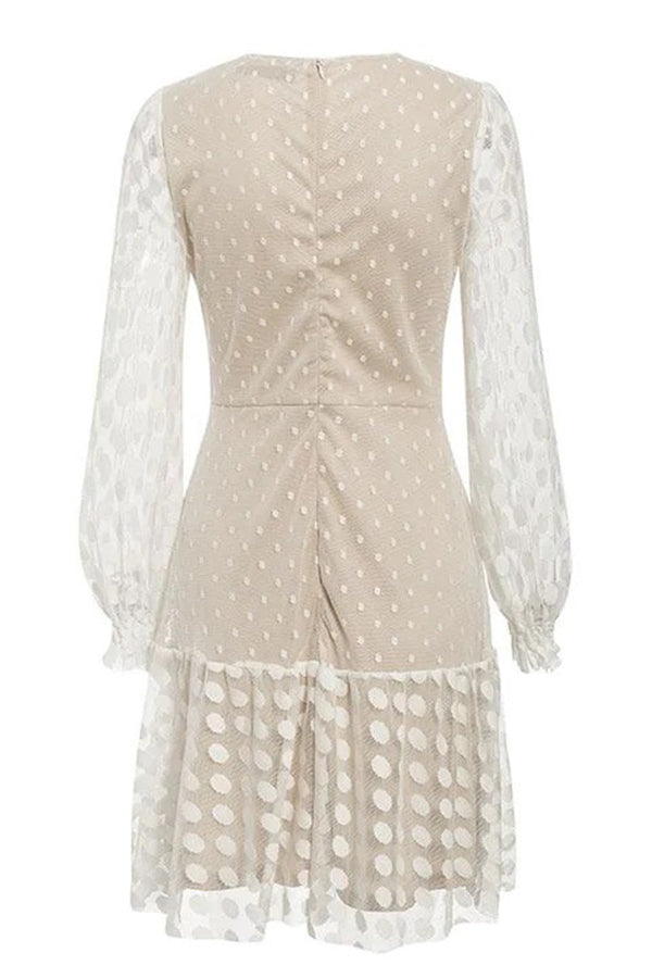 Emerton Polka Dot Lace Sheer Mesh Party Dress