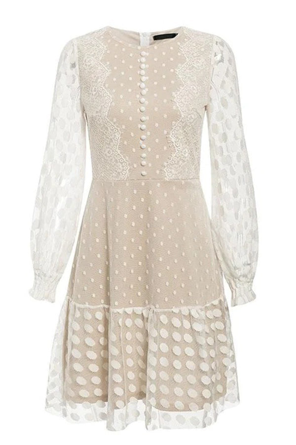 Emerton Polka Dot Lace Sheer Mesh Party Dress