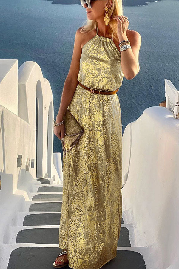 Diane Gold Leopard Print Halter Maxi Dress