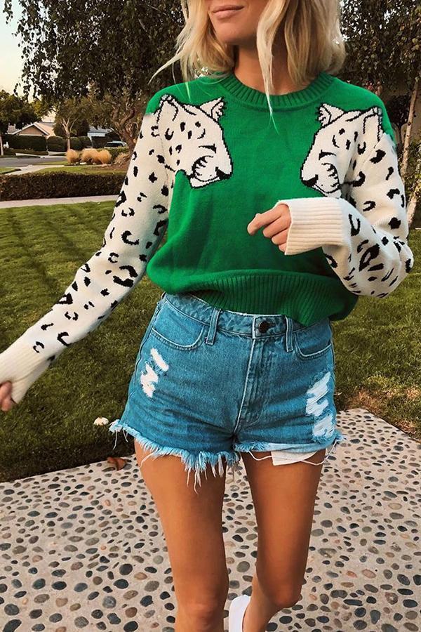 Casual Animal Print Sweater (6 Colors)